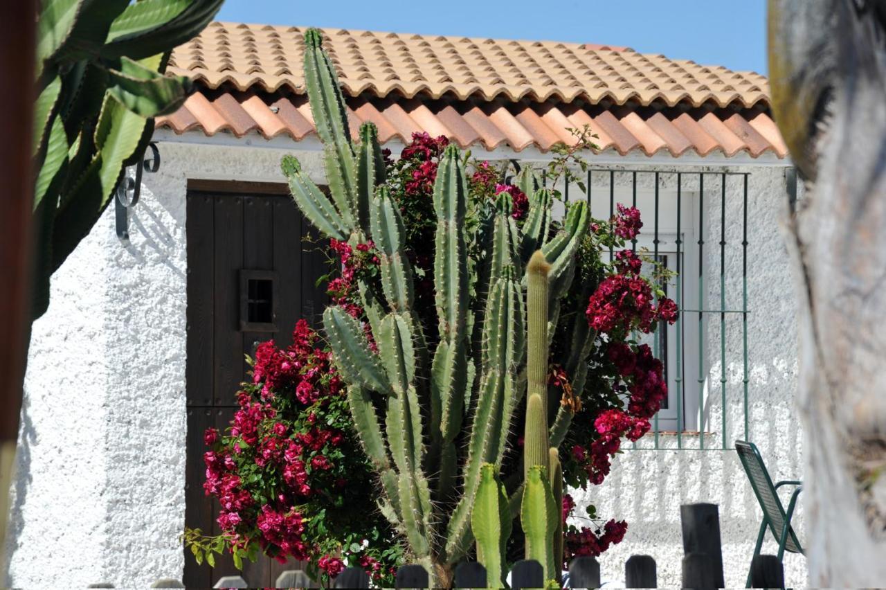 Cortijo Flamingos Apartment Chiclana de la Frontera Exterior foto